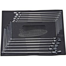   ELLIENT TOOLS T-kulcs csuklós készlet tálcás 8-19-ig 12 részes SW3204