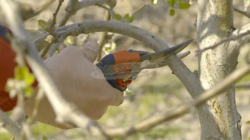 BAHCO ERGO metszőolló forgó markolattal, vágási kapacitás: 20mm közepes PXR-M2