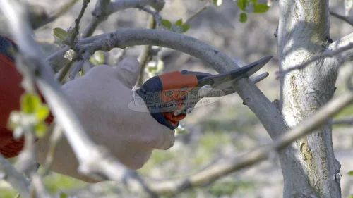 BAHCO ERGO metszőolló forgó markolattal, vágási kapacitás: 20mm közepes PXR-M2