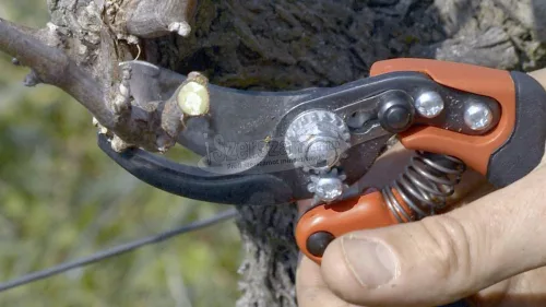 BAHCO ERGO metszőolló forgó markolattal, vágási kapacitás: 20mm közepes PXR-M2