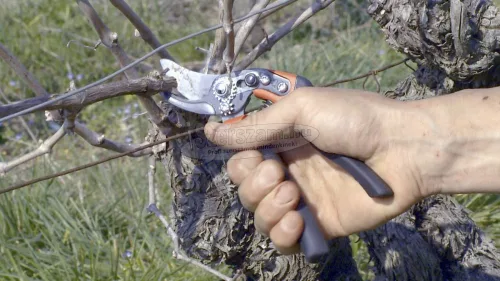 BAHCO ERGO metszőolló forgó markolattal, vágási kapacitás: 20mm közepes PXR-M2