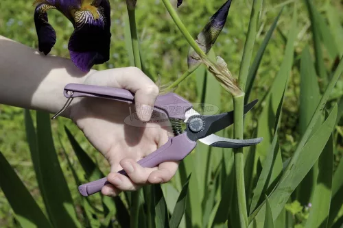 BAHCO Metszőolló P123-LILAC-B6