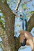 GARDENA összecsukható kerti kézifűrész 200mm 200P (8743) 08743-20