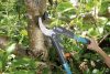 GARDENA karos racsnis ágvágó olló 45mm 593mm Comfort SmartCut (8773) 08773-20