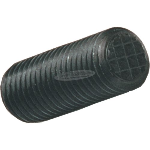 INDEXA FC18 M10X25mm SZORÍTÓPONTOS HERNYÓCSAVAR IND4252825D