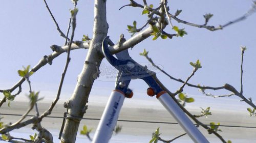 BAHCO Áttételes keresztülvágó ágvágó 800mm P280-SL-80