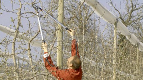 BAHCO Áttételes keresztülvágó ágvágó 800mm P280-SL-80