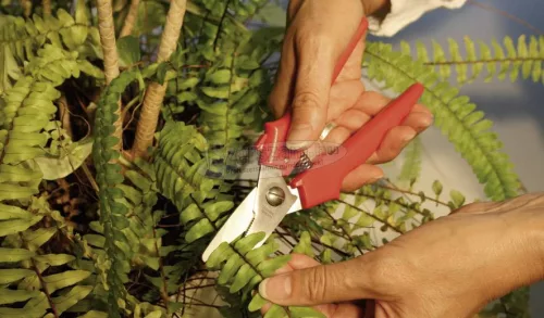 ERDI BESSEY Kombi olló, egyenes 190mm D48