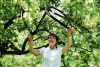 Fiskars Ágvágó PowerGear II 70cm 50mm L77 Amboss 112580