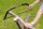 Fiskars Fűrész 21" SW30 533mm 124800