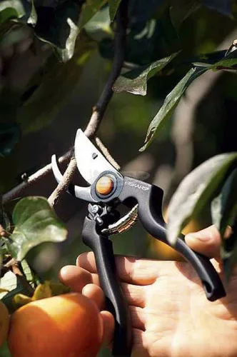 Fiskars Pro Kerti olló 230mm 26mm Bypass 111960