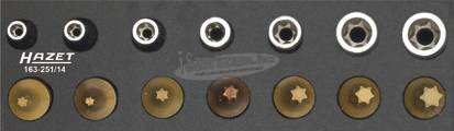 HAZET TORX, Külső TORX Rátűző+dugókulcs készlet 14 részes 1/4" E4-E11+T10-T40 163-251/14