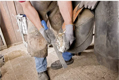PFERD 12612000 FH6/1 reszelőfogantyú az alkalmazáshoz szabott patasíkokhoz és pata raszter ergonómiai formához Hossz 106mm 1db 12612000