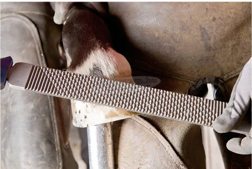 PFERD 12612000 FH6/1 reszelőfogantyú az alkalmazáshoz szabott patasíkokhoz és pata raszter ergonómiai formához Hossz 106mm 1db 12612000