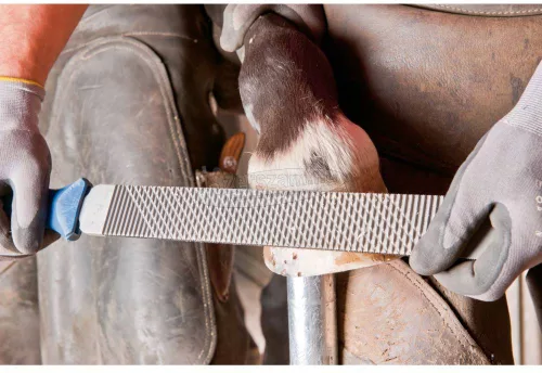 PFERD 12612000 FH6/1 reszelőfogantyú az alkalmazáshoz szabott patasíkokhoz és pata raszter ergonómiai formához Hossz 106mm 1db 12612000