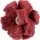 PFERD POLINOX-csiszolócsillag PNST 38-3 A 280 44698383