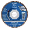 PFERD POLIFAN legyezőlapos csiszolókorong PFF 125 CO-FREEZE 50 SG INOX 67612550