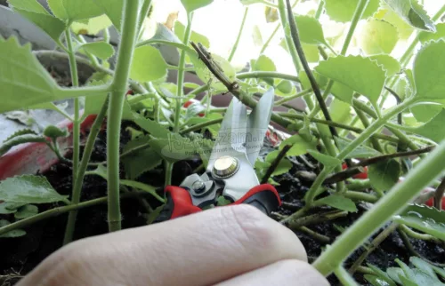 TOOLCRAFT Kombinált olló 200mm 2180448 TO-6541344