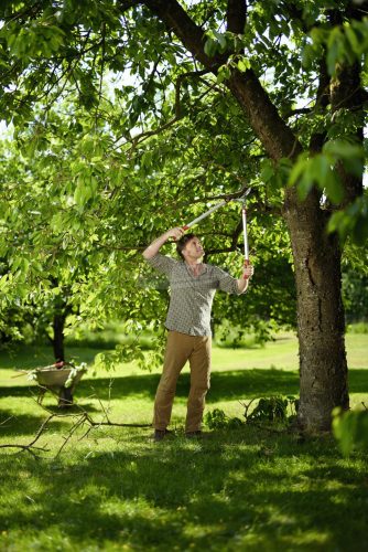 Wolf Garten 73AGA010650 POWER CUT RS 800 V Ágvágó 75 cm Amboss 73AGA010650