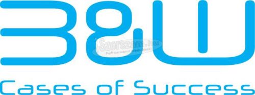 B & W INTERNATIONAL LED Munkalámpa Akkuról üzemeltetett 100lm Mini Swivel Light WL100U